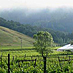Anderson Valley’s Seductive Pinots